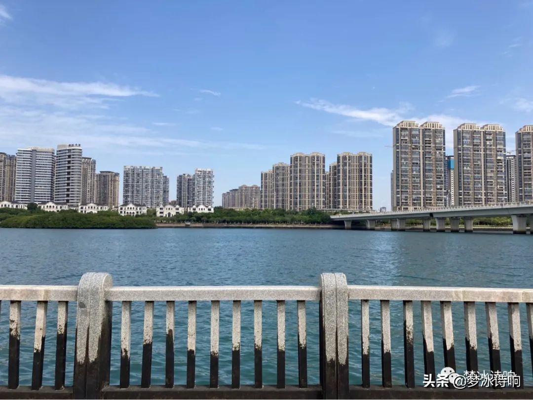 还是金山小区好哇！美丽舒适，闹中取静