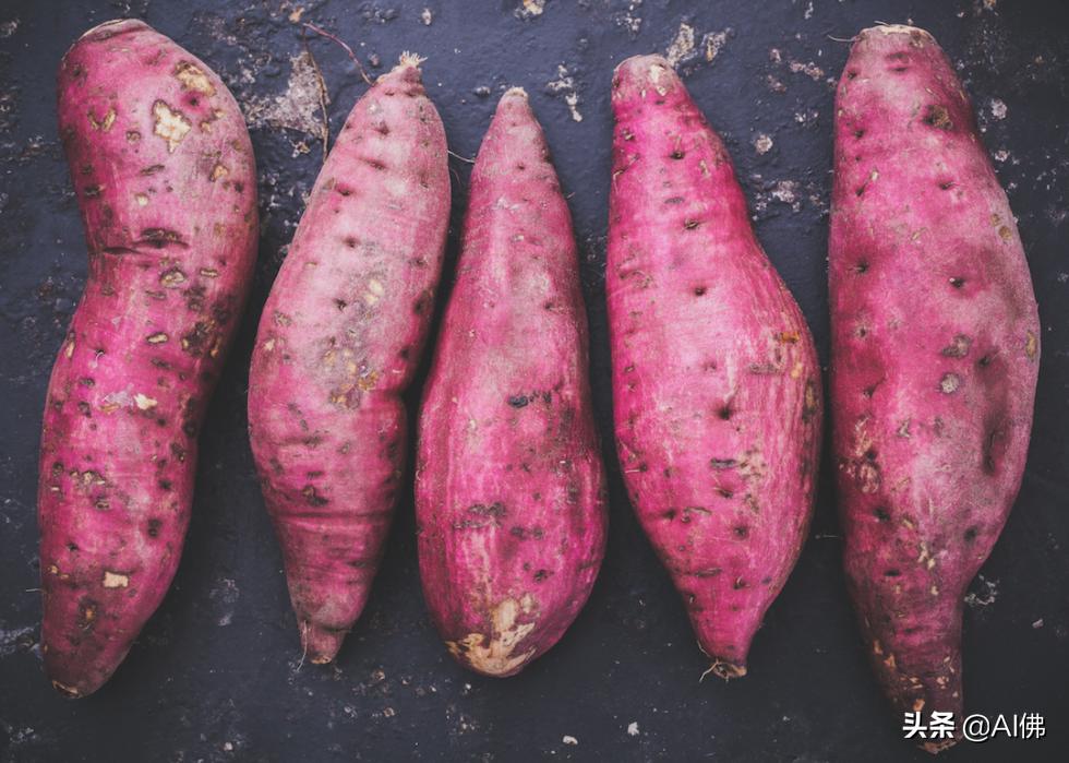 世界上最顶级的五种食物,世界各国特别的饮食文化知识