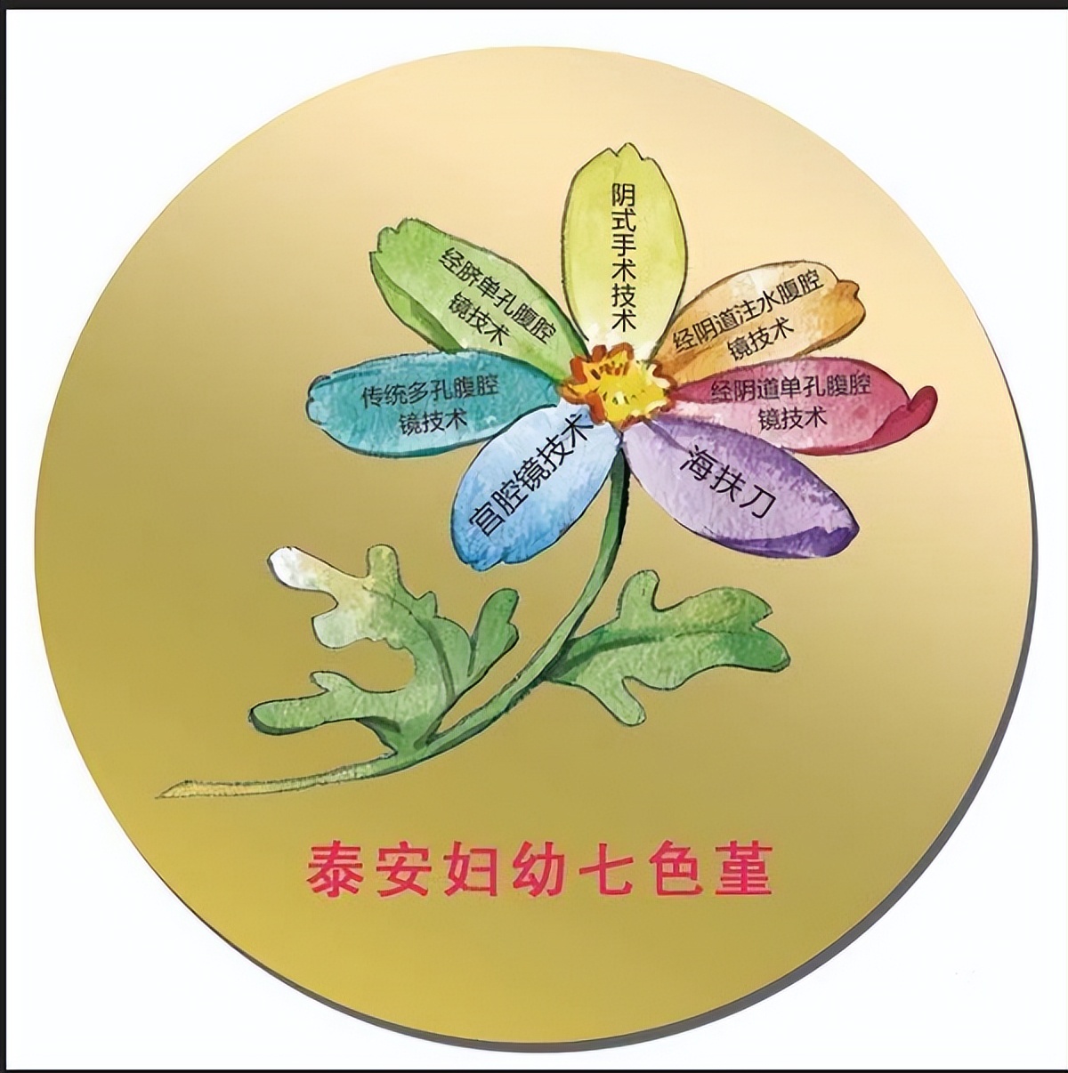 「健康科普」破纪录了！4米长的子宫肌瘤你见过吗？