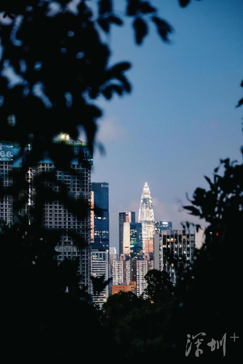 深圳湾公园最佳观景时间,深圳湾公园深圳市南山区最美公园