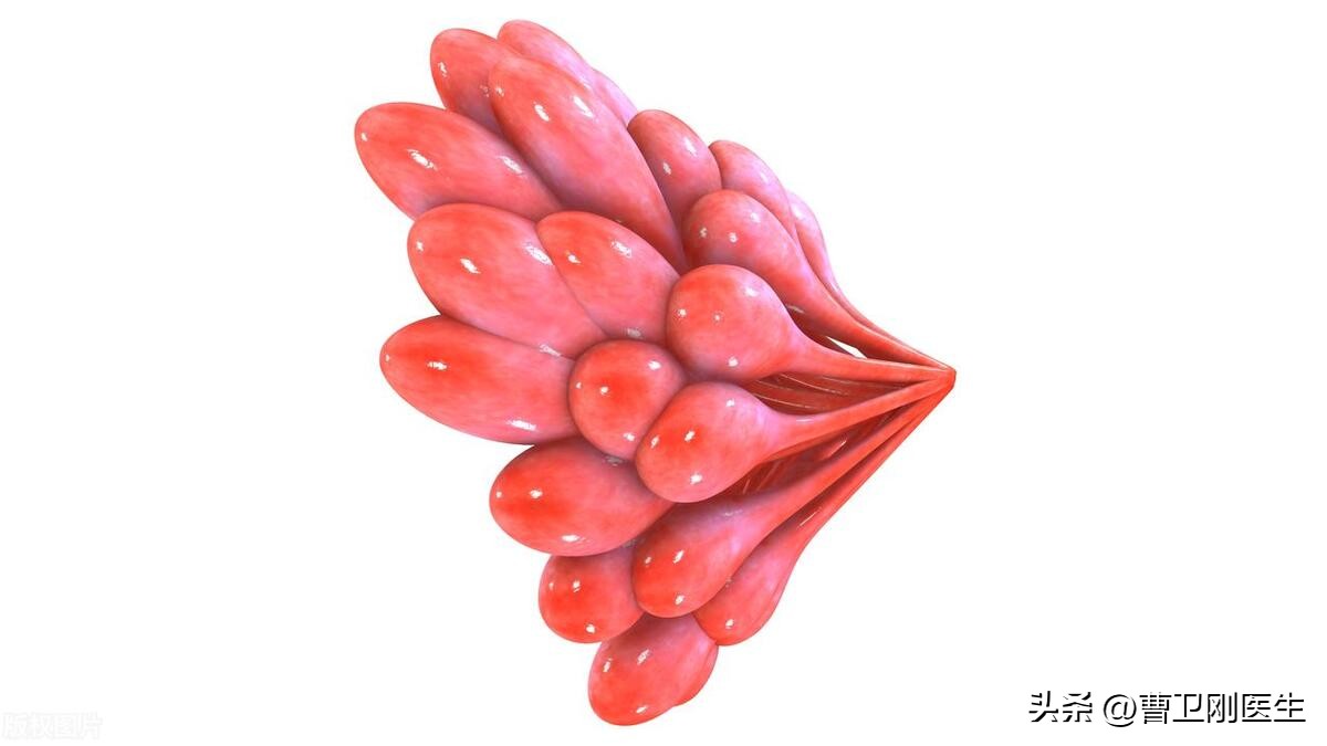 副乳腺病是什么,副乳腺是什么意思