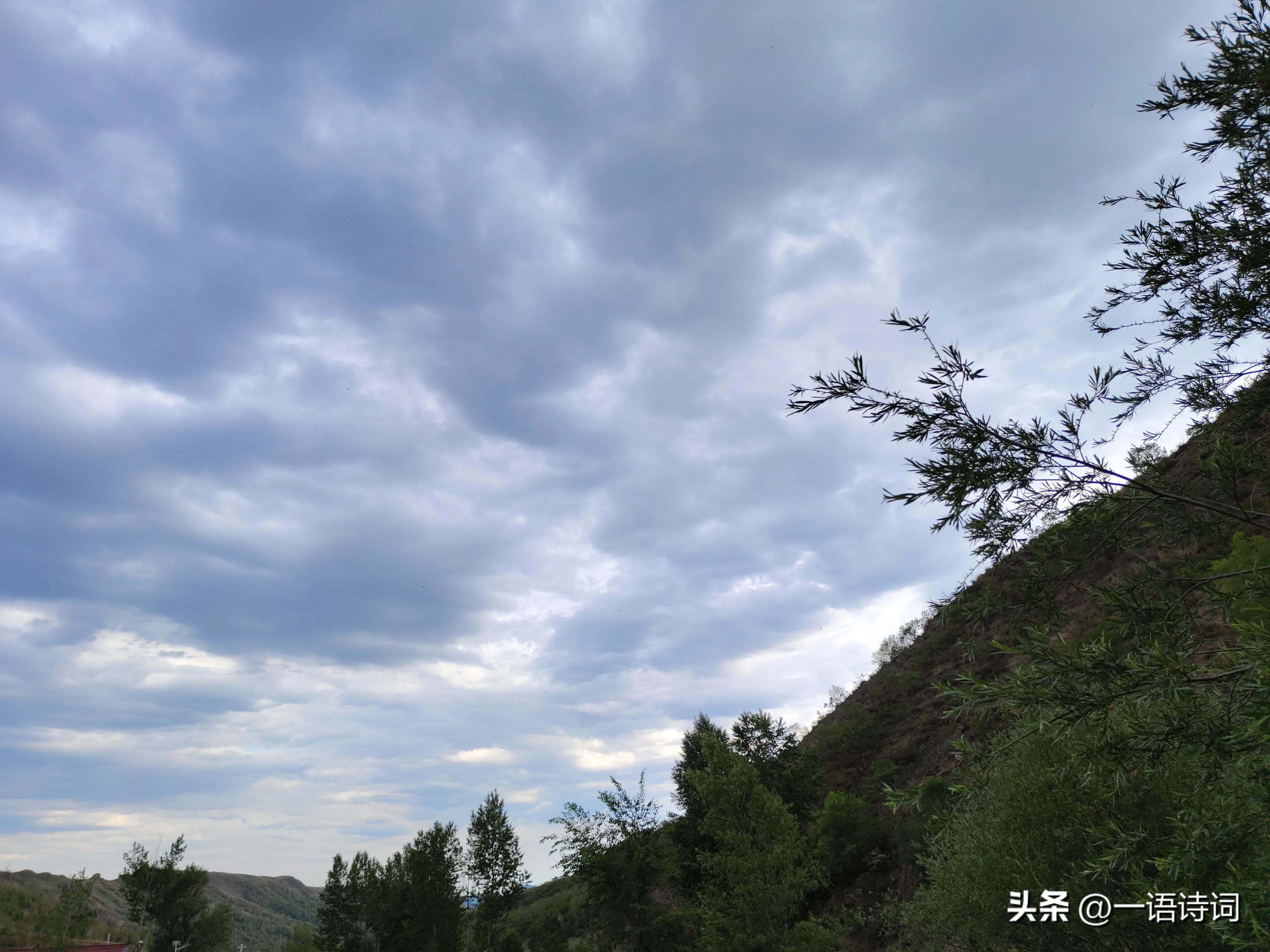 什么是原创诗歌,诗歌什么叫作品真实原创