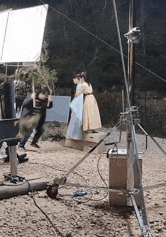 假骑行假徒步犯罪吗,假马骑着马跑