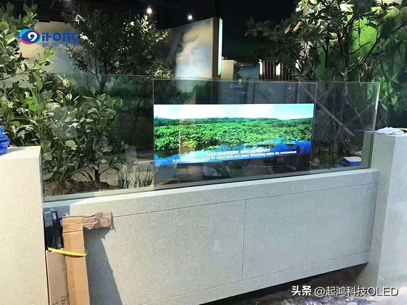 哈尔滨立式oled透明屏厂家,透明屏面板供应商