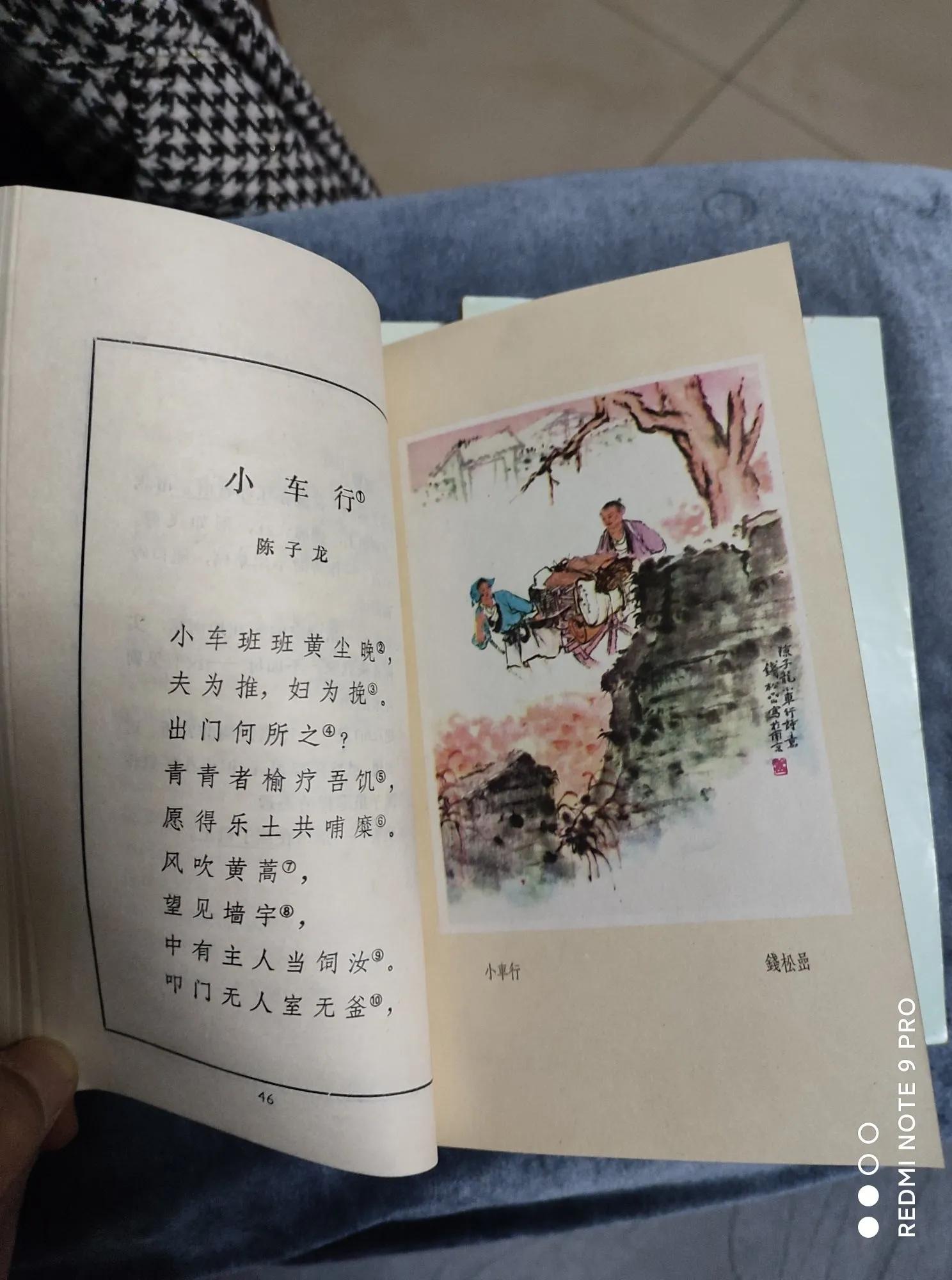 差一点买“珠”还“椟”——购«古代诗歌选»小记