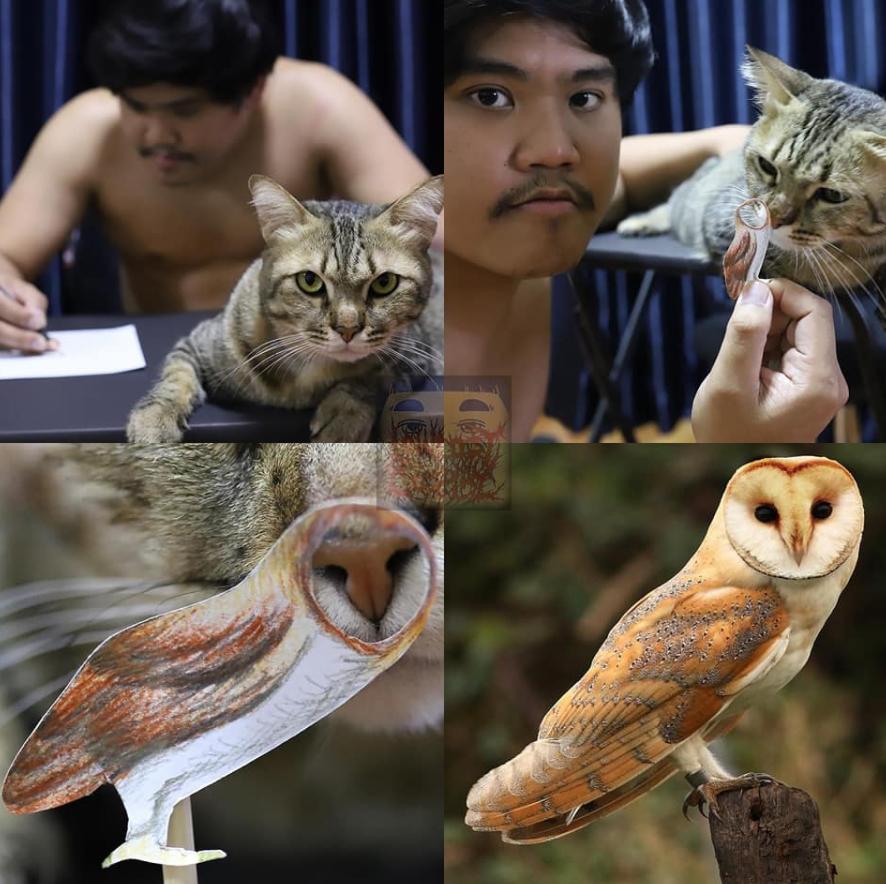 哈哈哈这些猫咪cospaly好怪，再看一眼，还是好怪