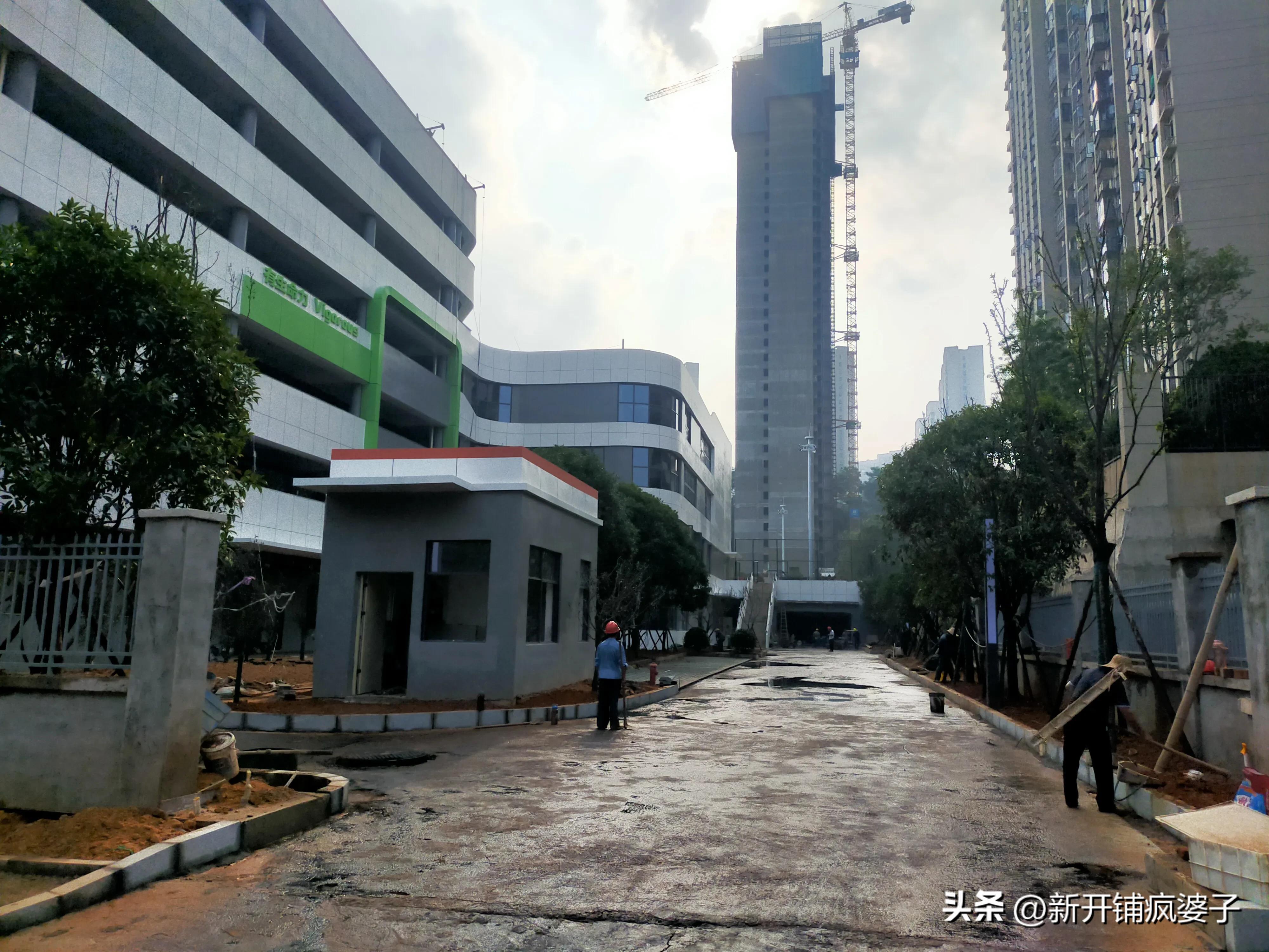 湖南师大附中双语北校区进展,湖南师大附中双语海棠小学研学