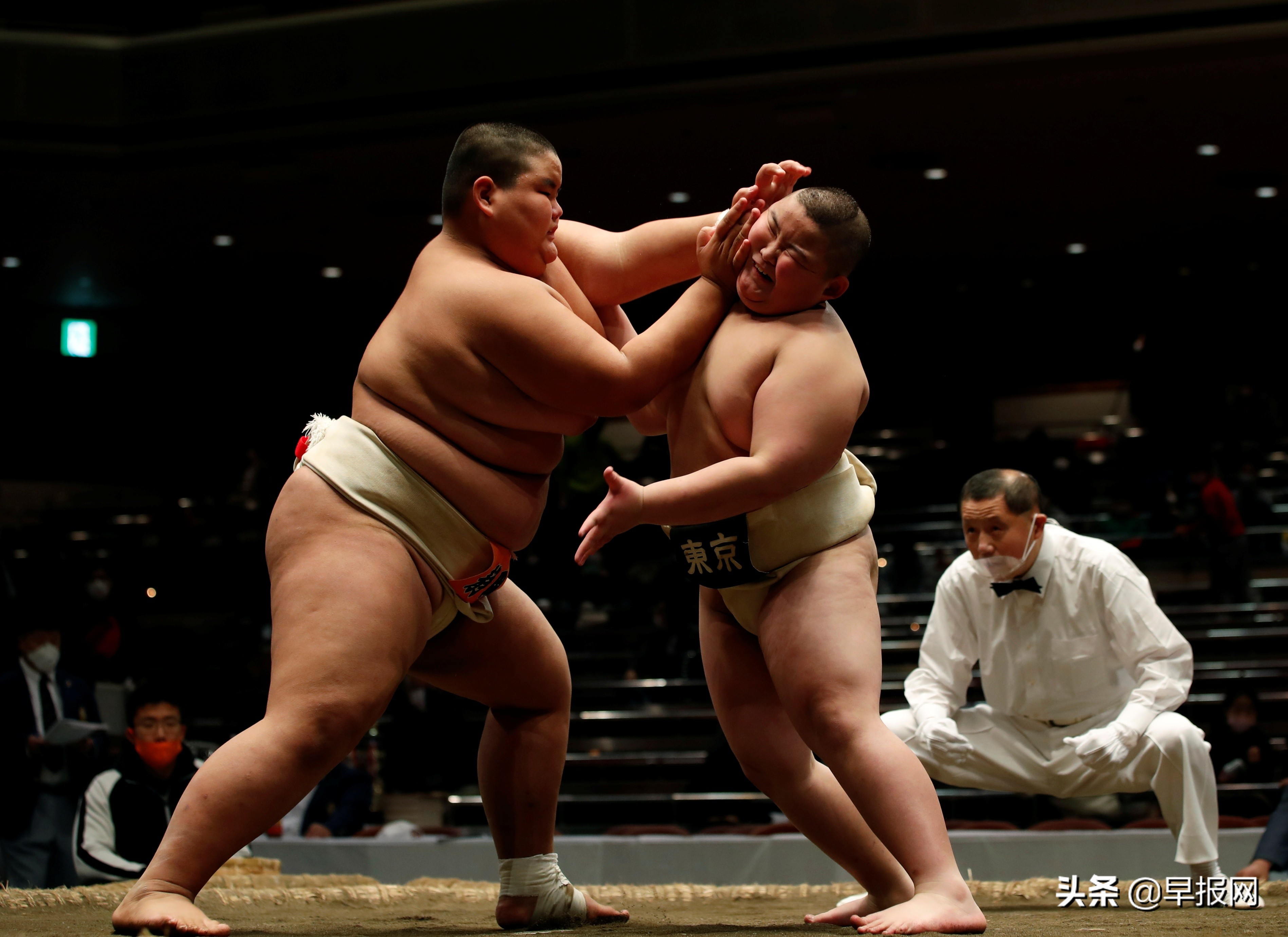 盘点日本相扑手,日本相扑选手退役真实生活