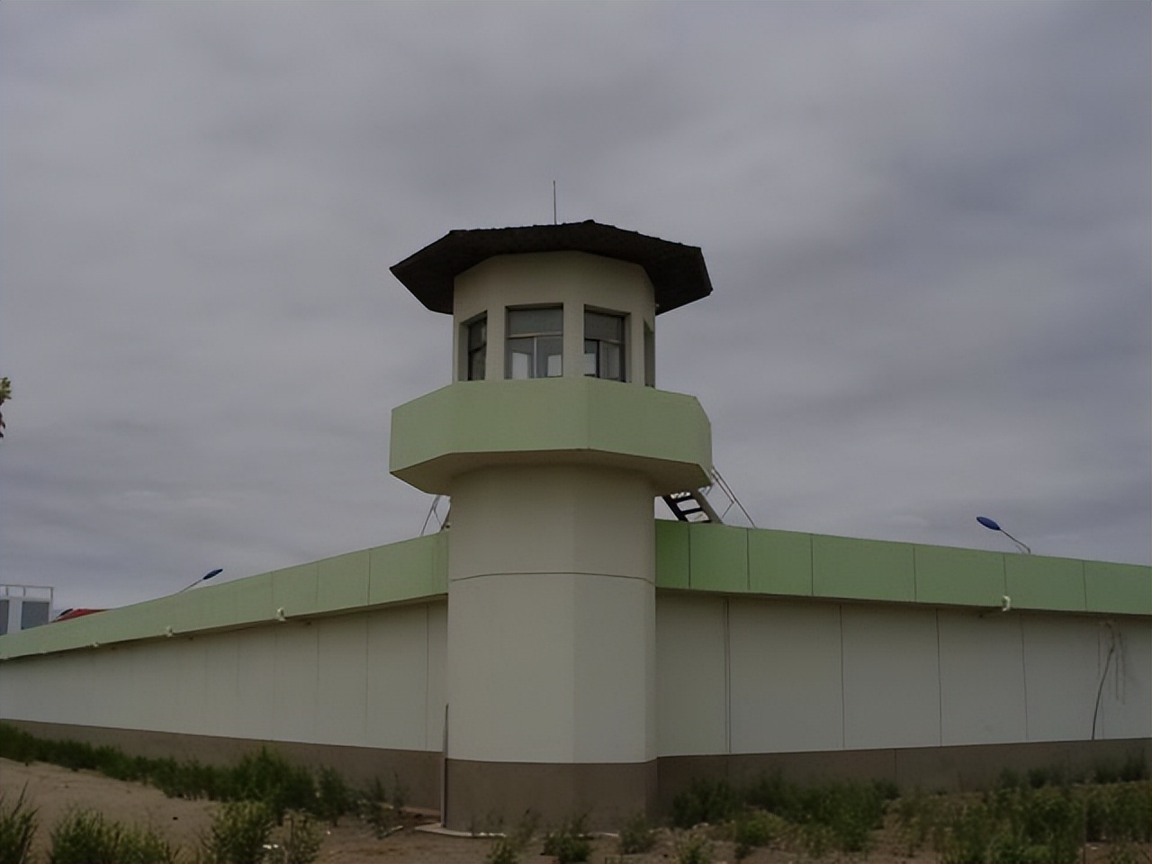 青藏高原诺木洪枸杞,青海诺木洪枸杞什么时候采摘结束