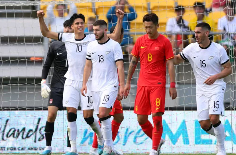 中国足球反腐打假纪录片全集,中国足球反腐纪录片解说