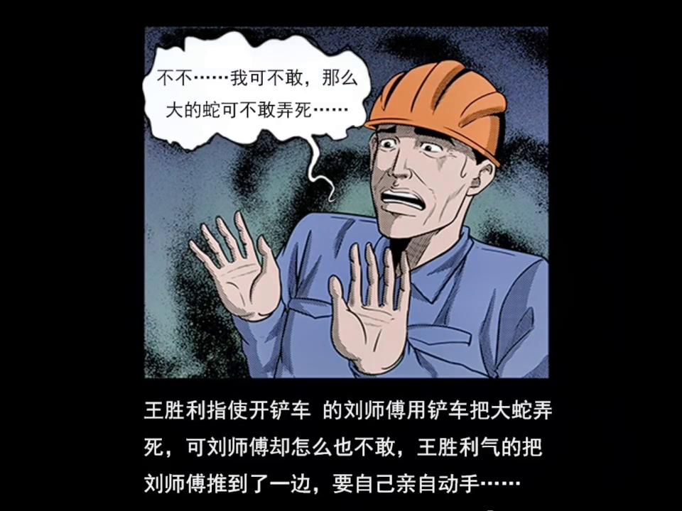 民间故事大蛇救主视频,民间故事大蛇渡劫