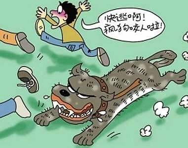 狗狗患上狂犬病的六种表现,狗狗出现什么症状说明是狂犬病