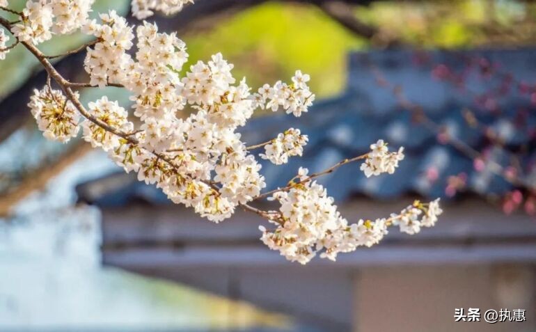 文旅复苏迎来春天,春节文旅的发展趋势