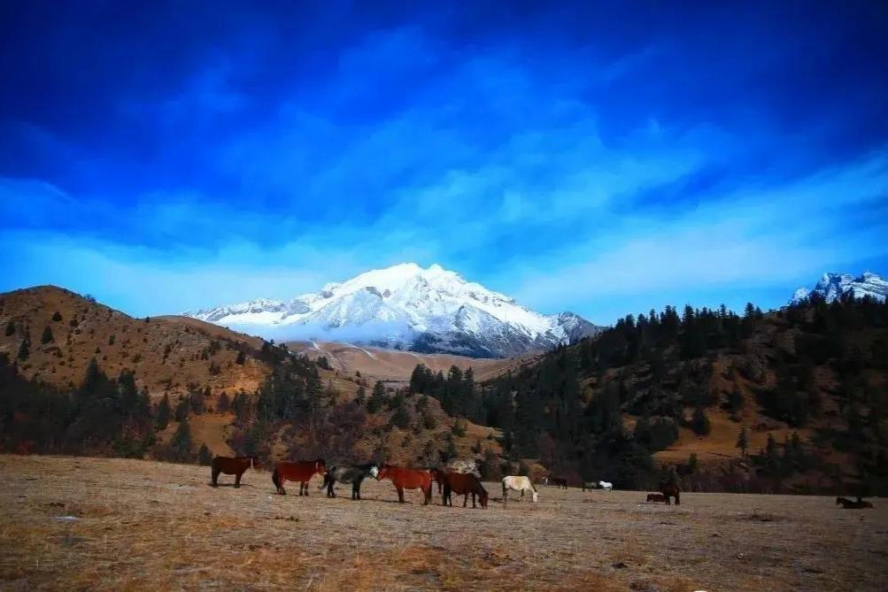 这才是四川值得打卡的十大旅行地,四川冷门小众旅游景点推荐