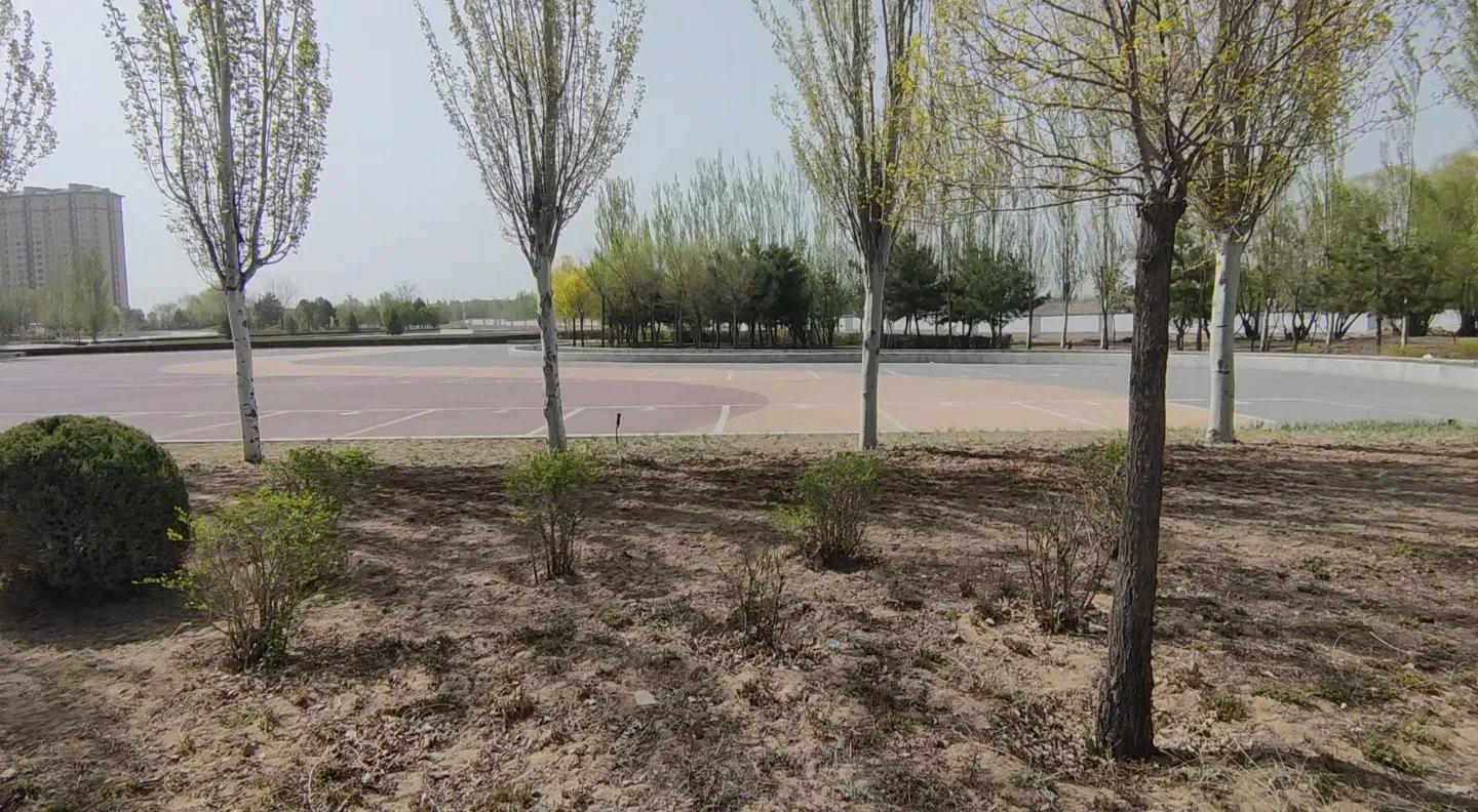 鄂尔多斯鸟巢图,准格尔旗大路新区鸟巢