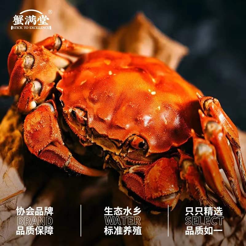 千亿市场招募合伙人,大闸蟹招募合伙人