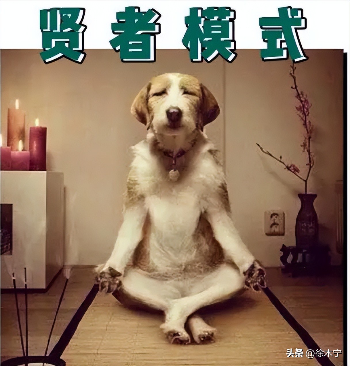 一加折叠屏手机的最新消息,一加折叠屏手机在哪里上线