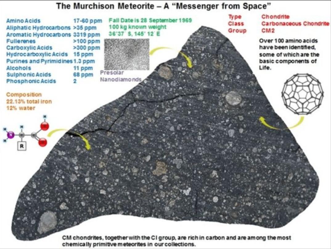 陨石降临地球开启了基因进化之旅,人类进化与外星陨石