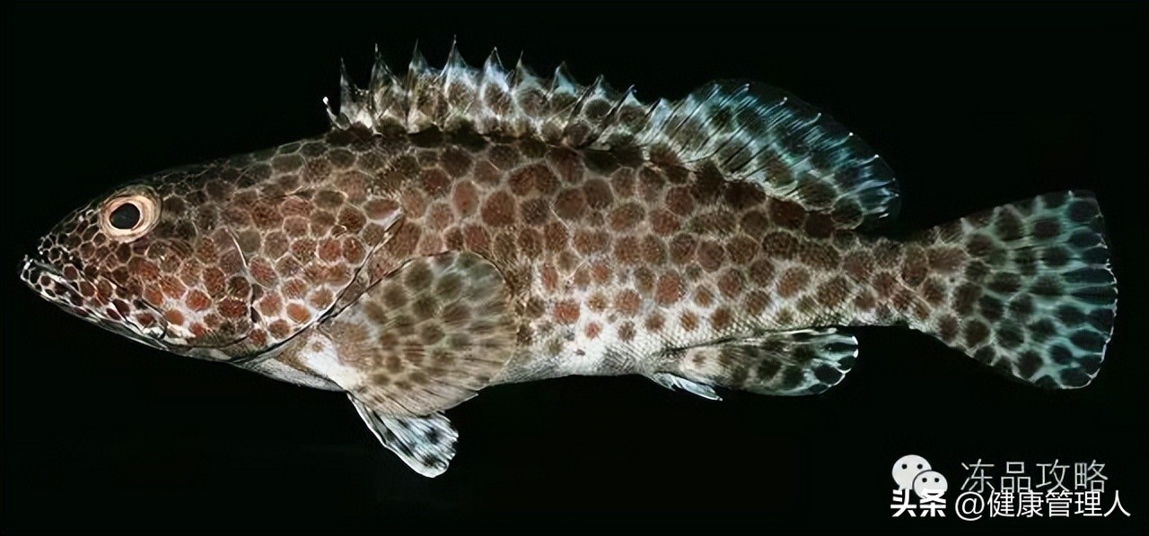 美容护肤食疗方案,美容护肤养生介绍