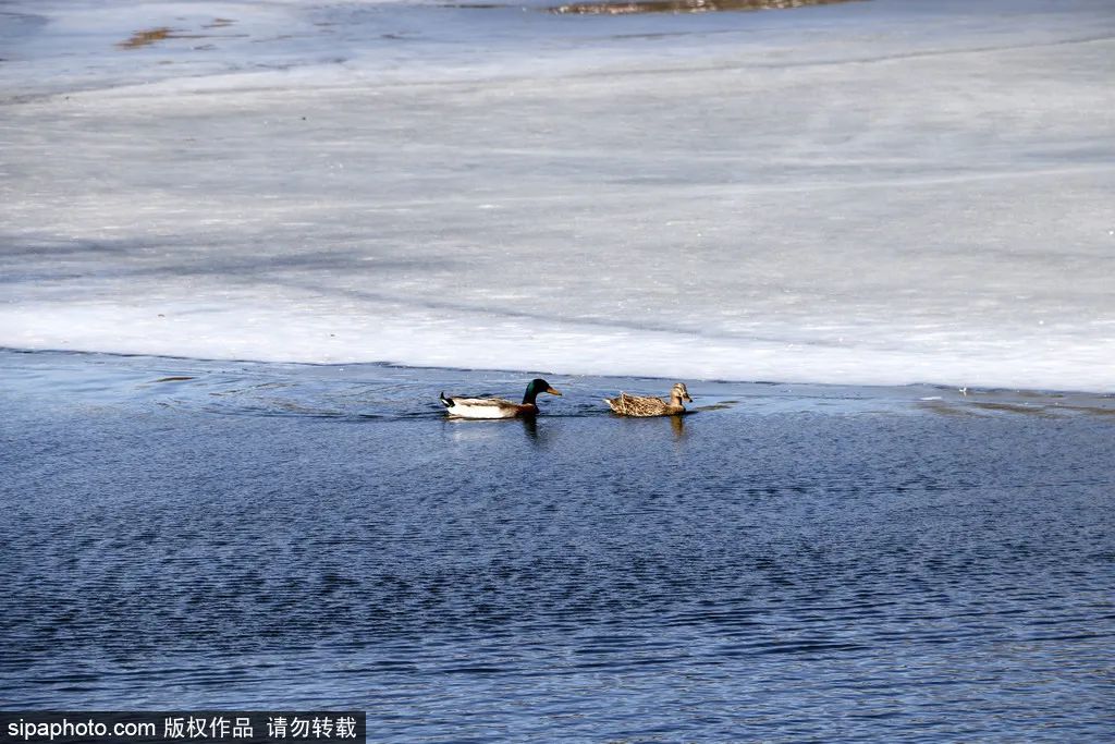 冬天颐和园昆明湖全景,观赏颐和园昆明湖