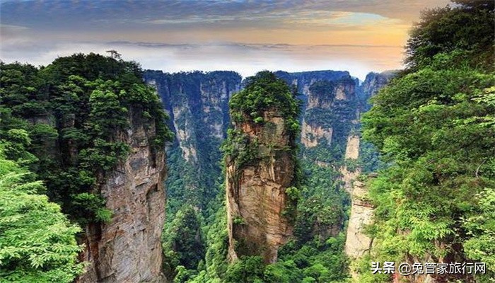 张家界值得和朋友打卡的地方,张家界五日游攻略自由行