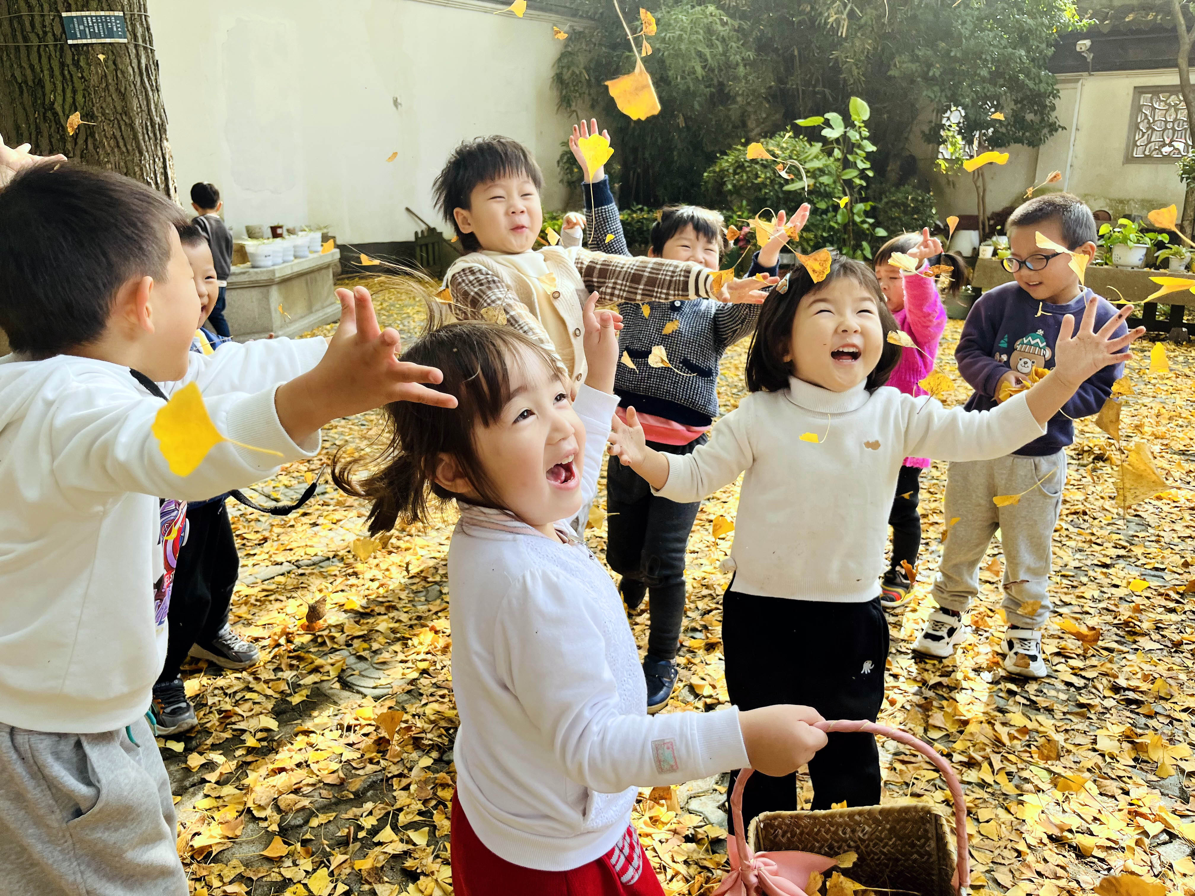 和孩子一起玩银杏叶,银杏叶和小朋友互动
