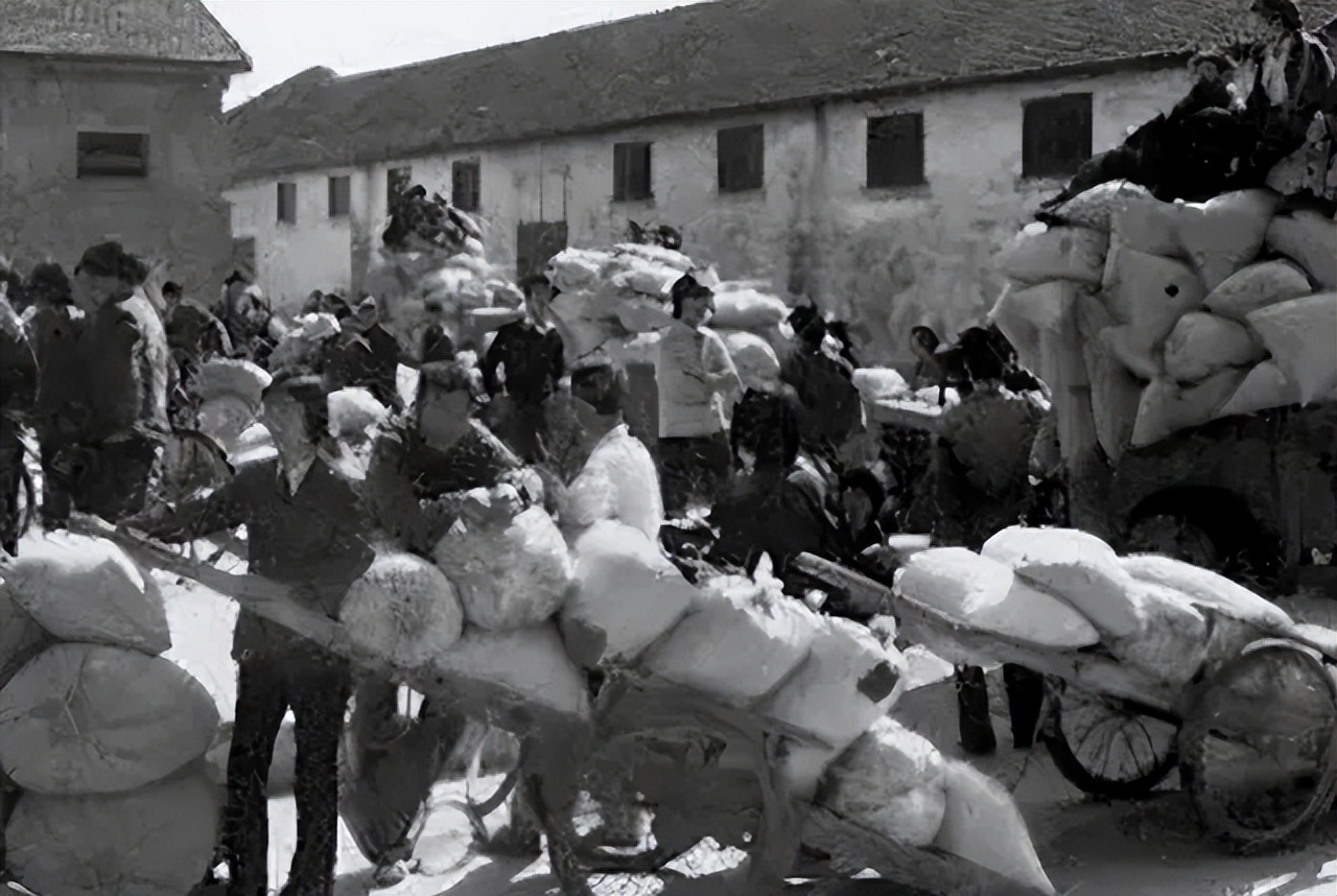 一妻多夫制专家公开建议,一妻多夫制的专家建议