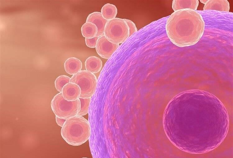 如果没有避孕多久会怀孕,如果女人不避孕一生能生几个