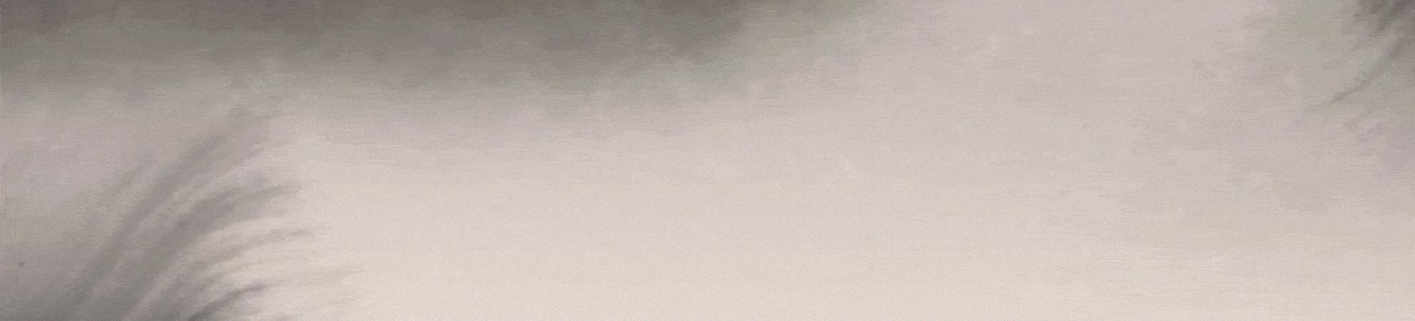 简论中国古代小说的发展状况,论述中国古代小说简史