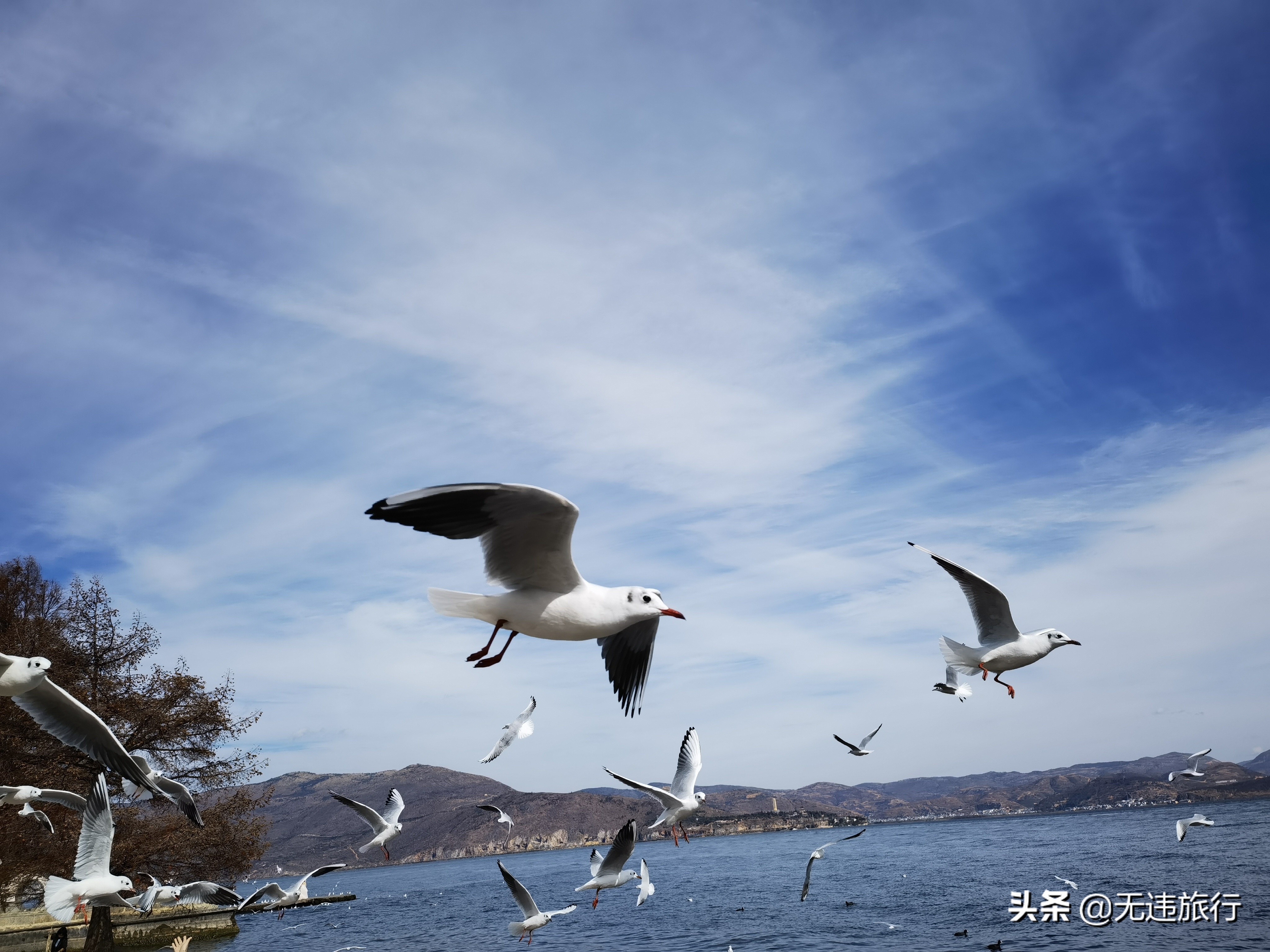 大理洱海龙龛码头看日出,大理洱海龙龛古渡风景