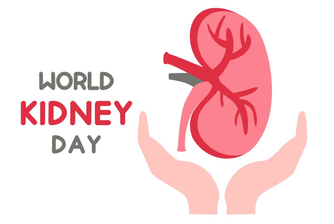 得了肾结石不能吃什么要忌什么,肾结石患者注意哪些东西不能吃