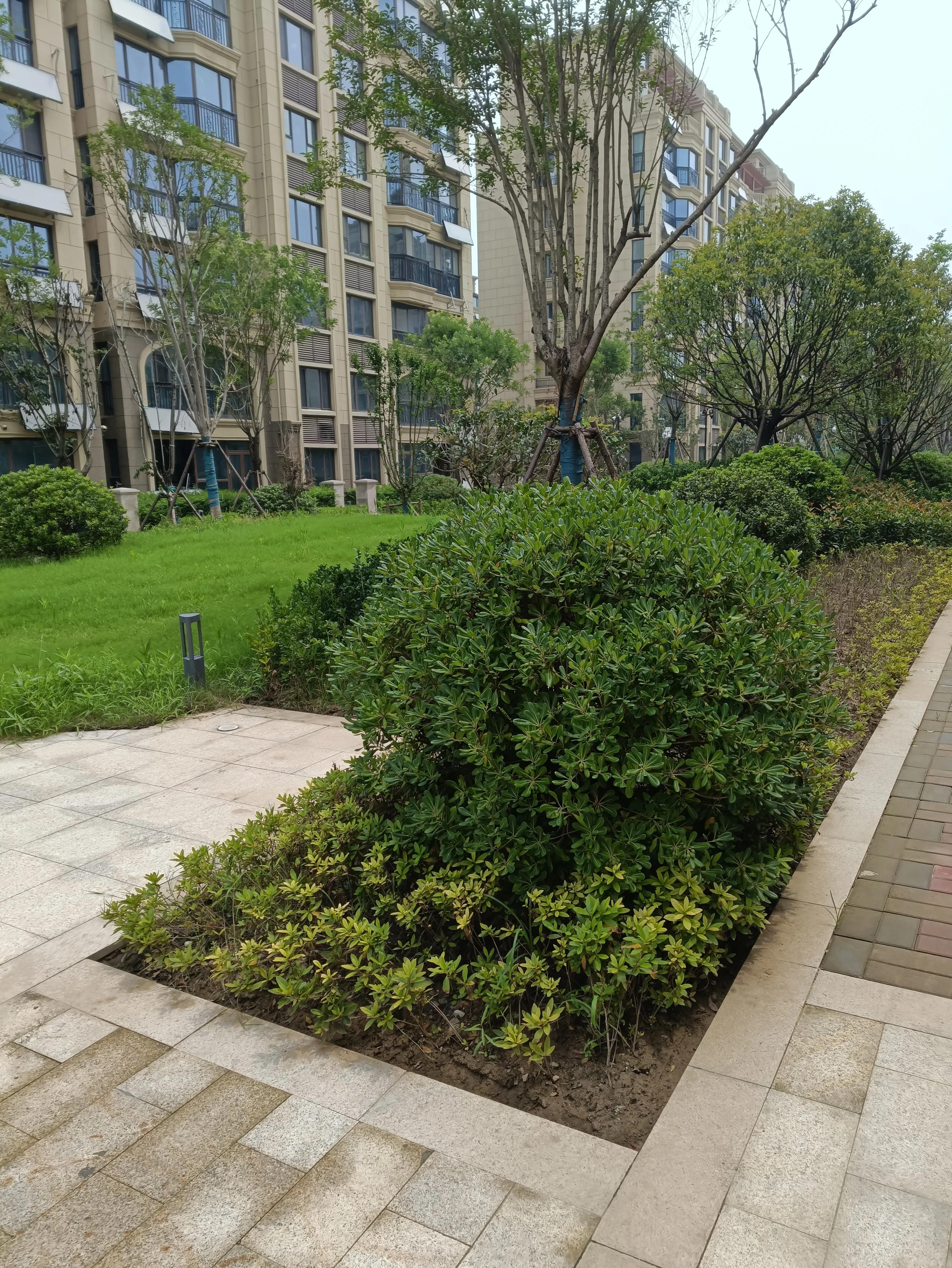 一楼带院有什么优势,一楼带院有什么讲究吗