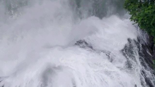贵州樱花风景区一日游,半城樱花贵阳