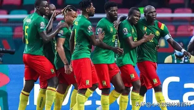 卡塔尔世界杯32强巡礼伊朗,2022年卡塔尔世界杯喀麦隆之旅