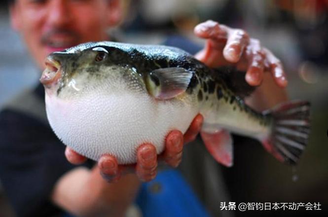 jr山手线新宿,JR山手线的内环线能去滨松町吗