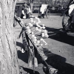 清朝酷刑五马分尸,晚清死刑犯