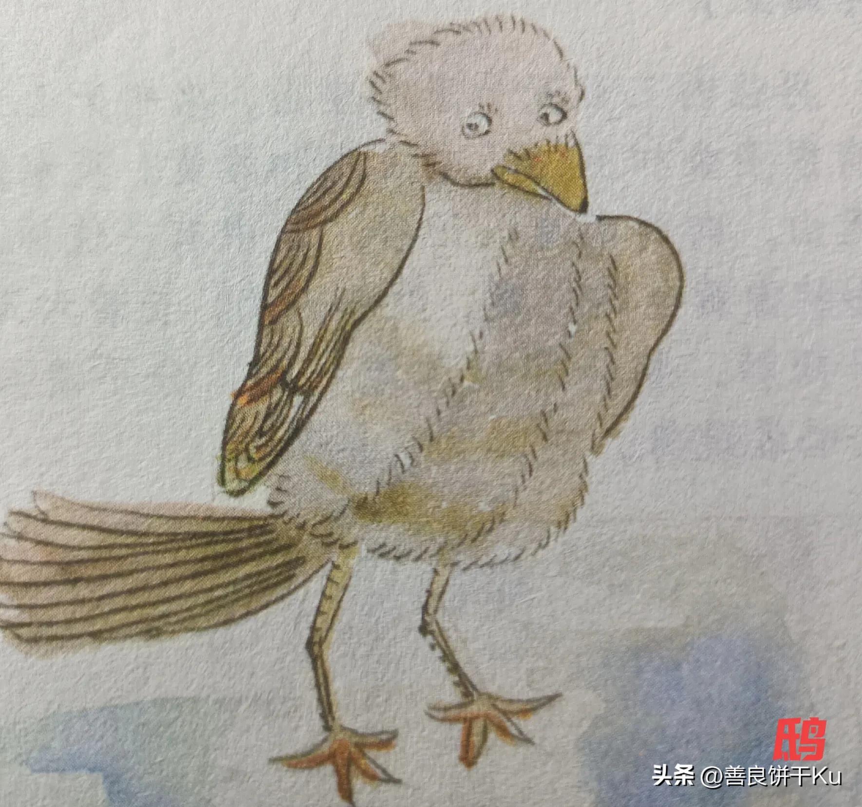 西次三经解读,西次三经什么意思