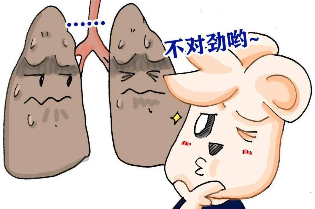 肺经主管身体什么问题,调理肺经的最佳方法