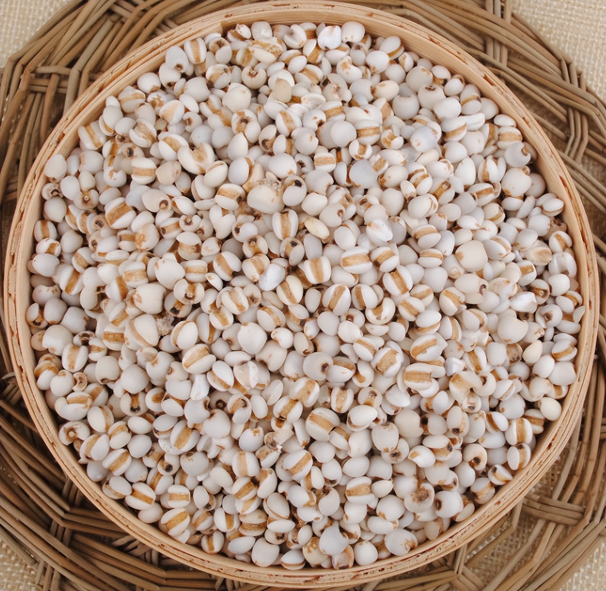 福建金沙薏米特产介绍,福建金沙薏米批发价格