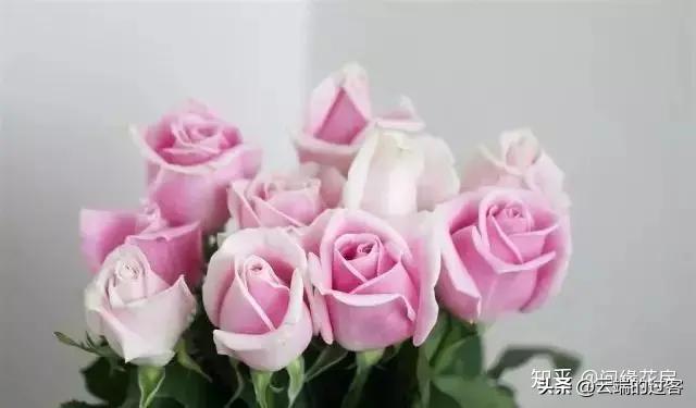 1到99朵玫瑰的含义图片,1到99朵玫瑰花语是什么