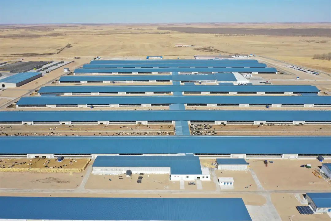 【旗县动态】奈曼旗、开鲁县、库伦旗