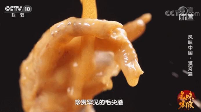 去哪看极光最好的地方,去哪里看极光最好的地方