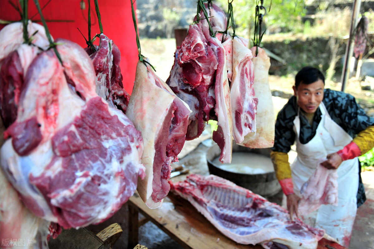 12月份的猪价会跌还是涨,12月份猪价还会上涨吗为什么