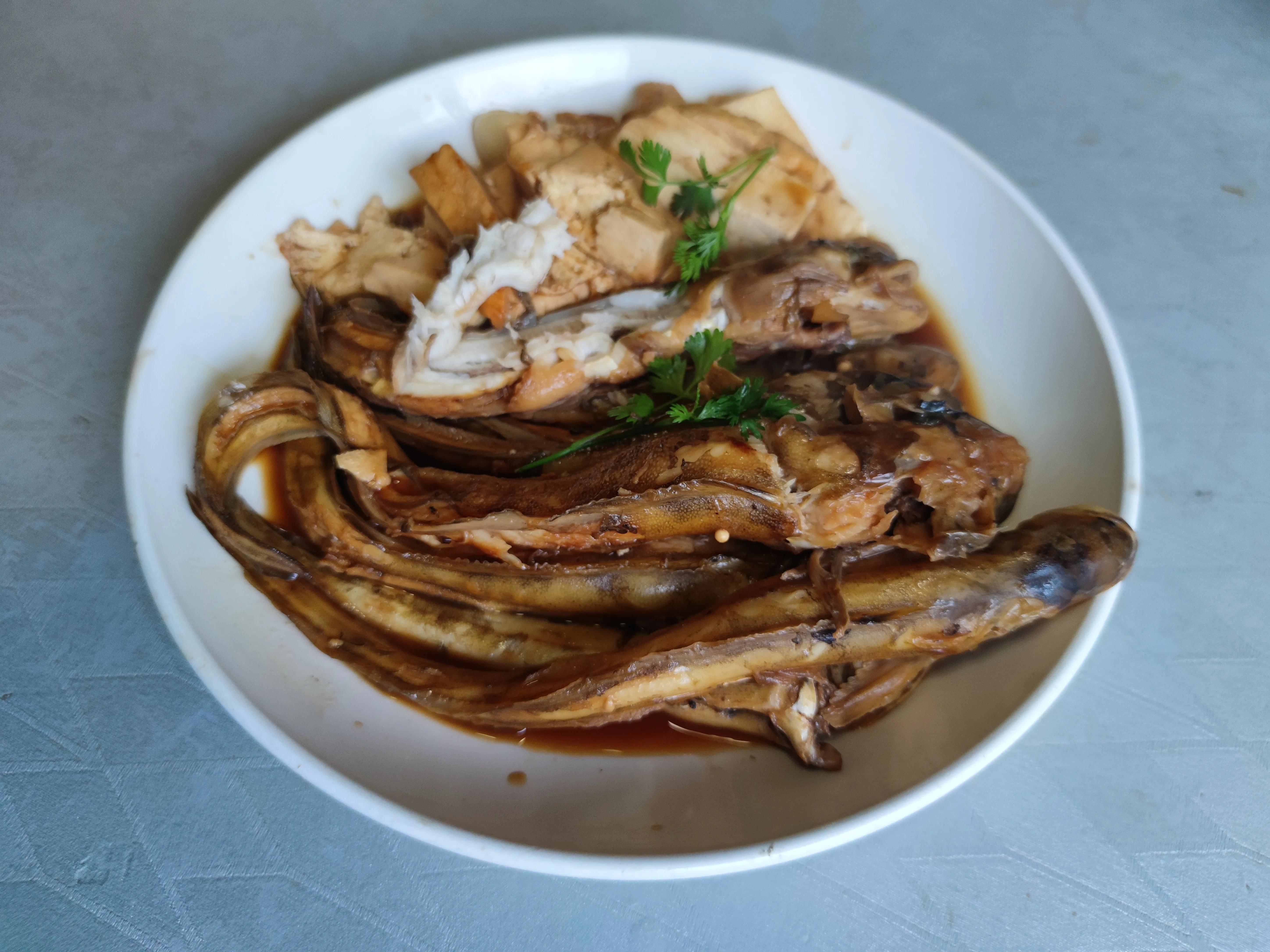 15种常见的海鱼,100种常见食用海鱼图谱