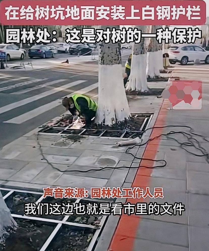 园林工人美化环境,园林工人用辛勤筑造美丽家园