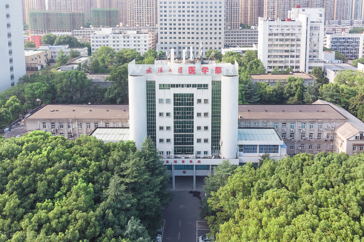 新一线城市之首武汉,新一线城市成都武汉