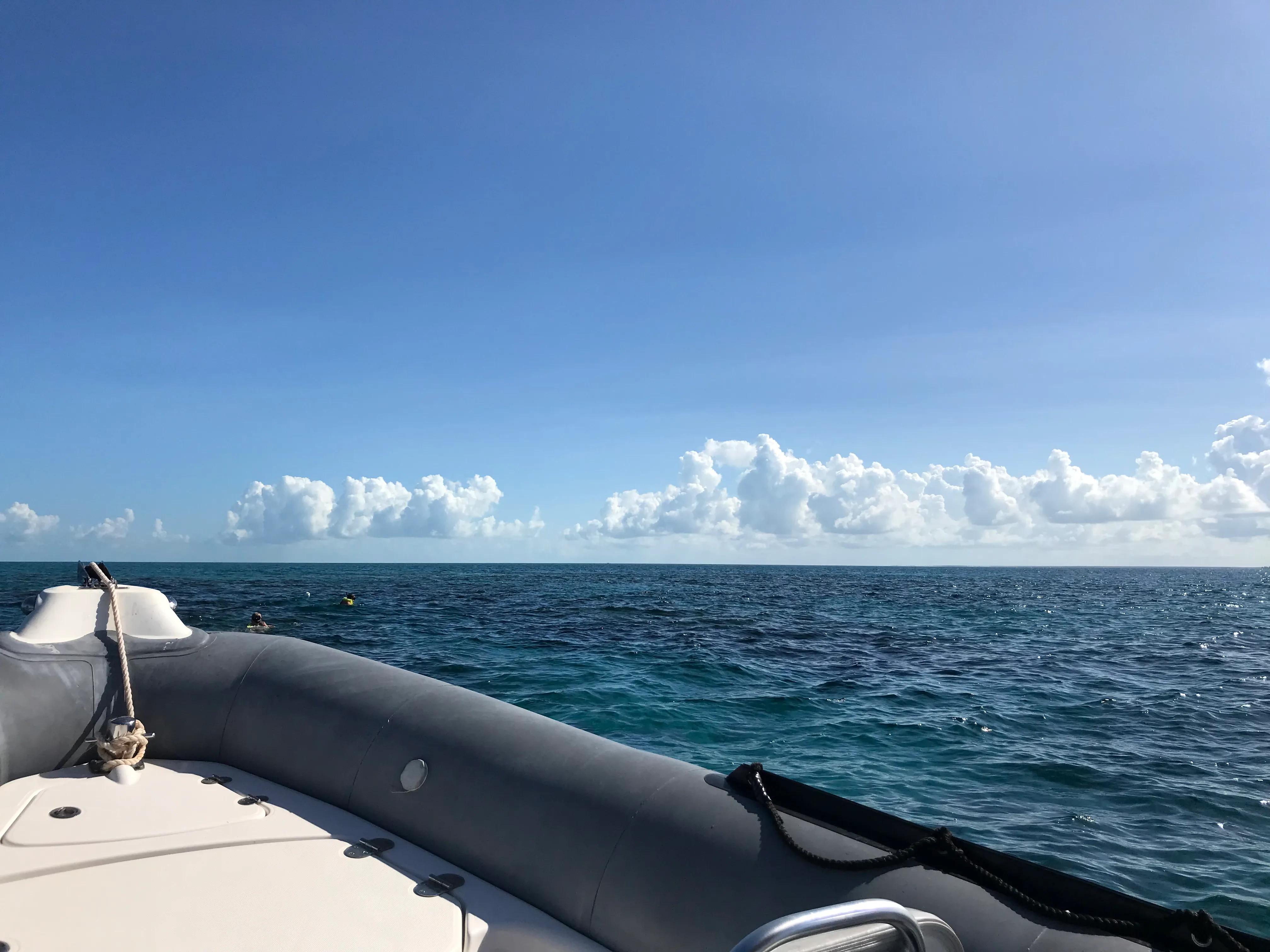 雇主担保加拿大,加拿大雇主担保陷阱