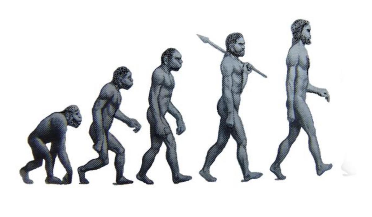 什么是“阴茎骨”？百万年前人类曾拥有！现在算进化还是退化了？