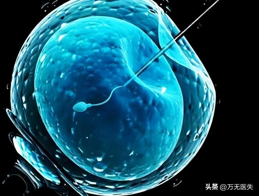 那些进入女性体内,没有成功“受精”的精子,最后都怎样了?