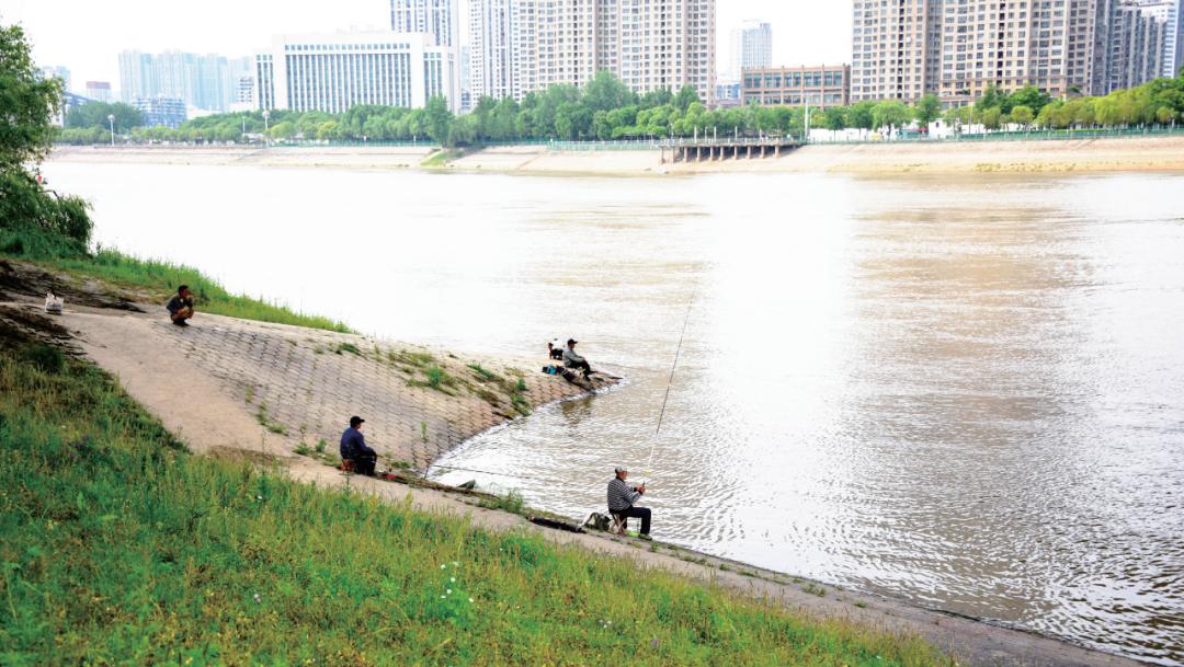 现在怎么钓乌鱼技巧图解,乌鱼最好钓的方法